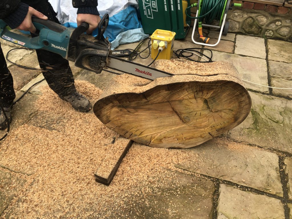 Eucalyptus Chainsaw action shot